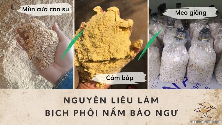 Nguyên liệu làm bịch phôi nấm bào ngư xám