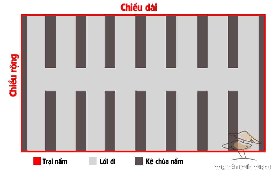 Chi tiết không gian trồng nấm bào ngư