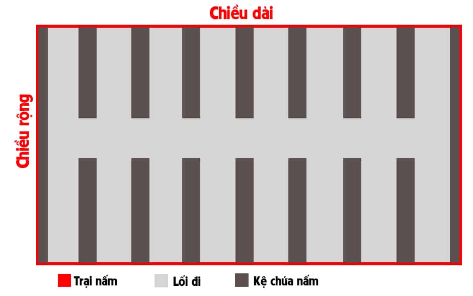 Chi tiết không gian trồng nấm bào ngư