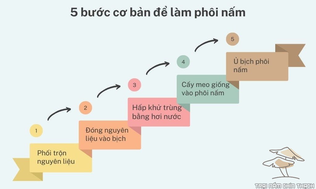 Các bước cơ bản làm phôi nấm?